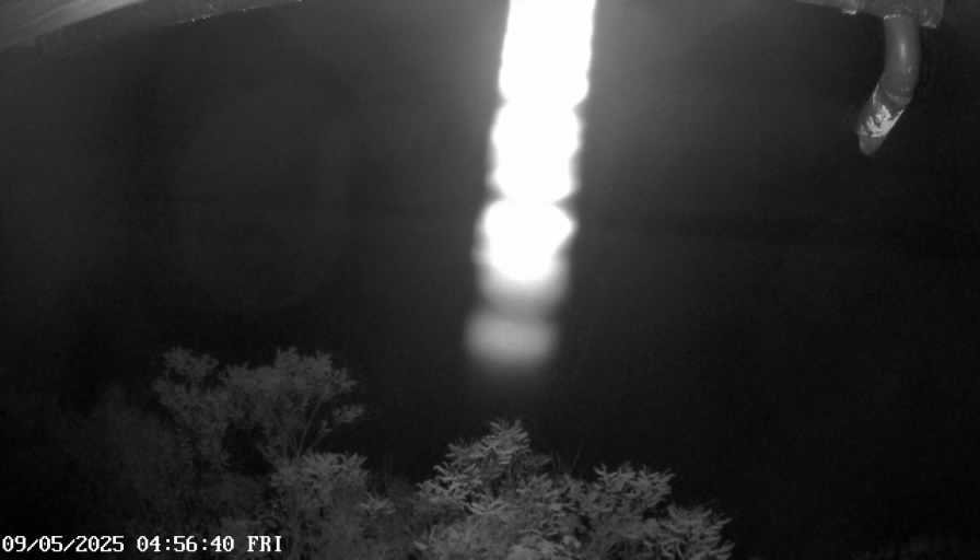Webcam 1